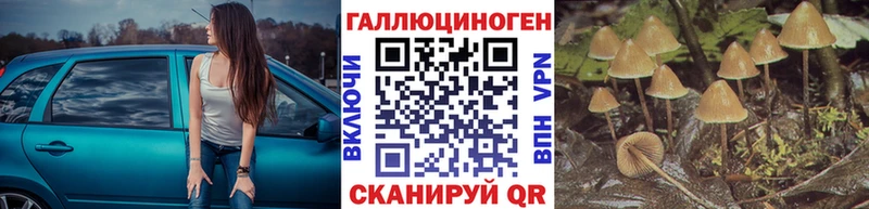 Псилоцибиновые грибы мицелий хочу Старая Купавна