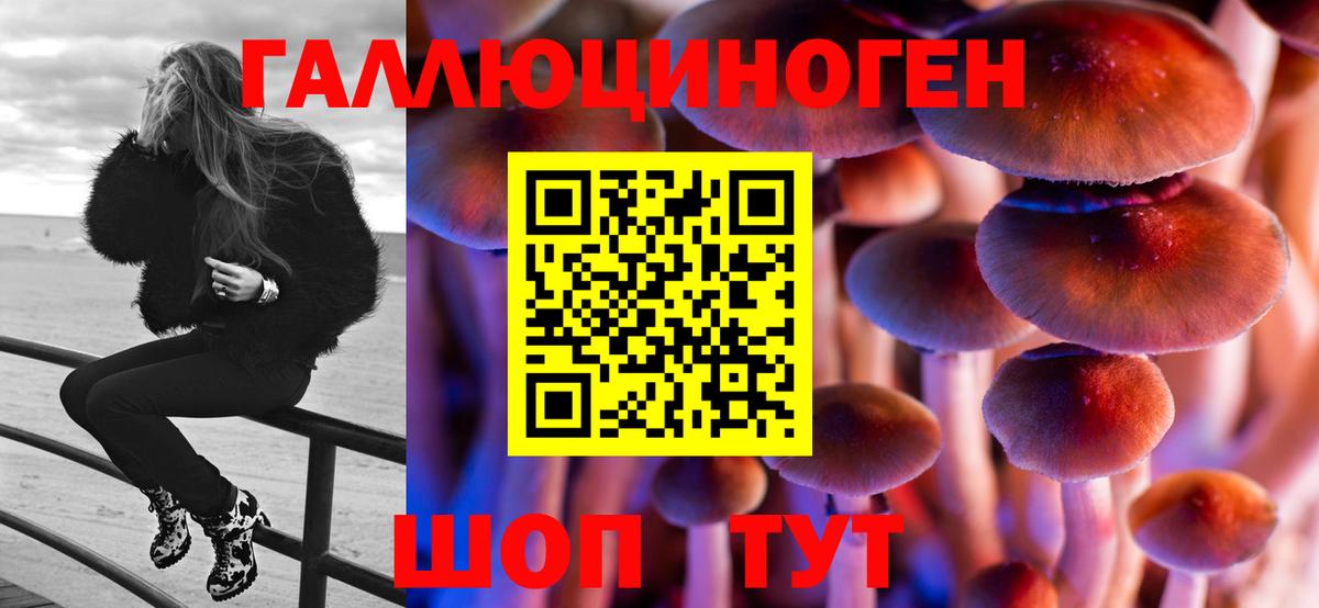 Галлюциногенные грибы Psilocybe Старая Купавна